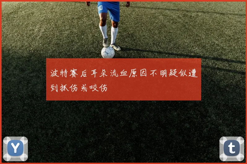 波特赛后耳朵流血原因不明疑似遭到抓伤或咬伤